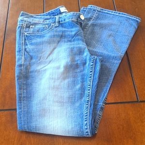 Daytrip Virgo Bootcut jeans